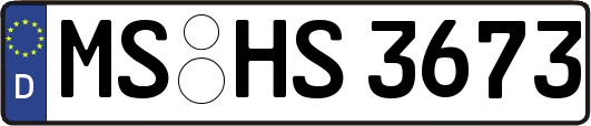 MS-HS3673