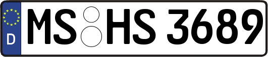 MS-HS3689