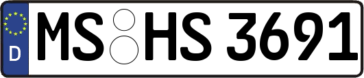 MS-HS3691