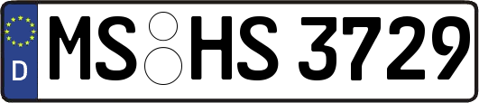MS-HS3729