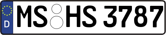 MS-HS3787