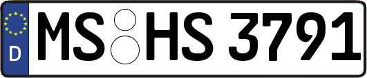 MS-HS3791