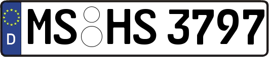 MS-HS3797
