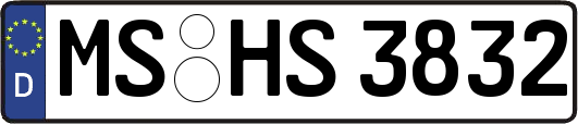 MS-HS3832