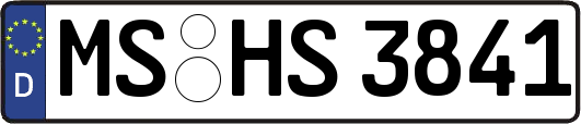 MS-HS3841