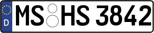 MS-HS3842