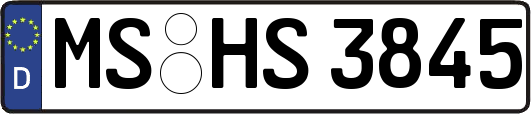 MS-HS3845