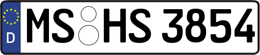 MS-HS3854