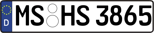 MS-HS3865