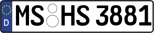 MS-HS3881
