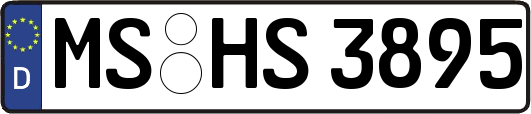 MS-HS3895