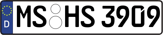 MS-HS3909