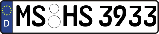 MS-HS3933