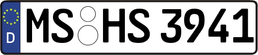 MS-HS3941