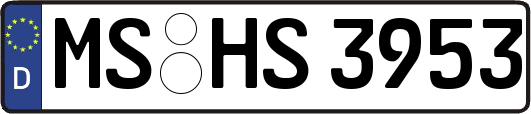 MS-HS3953