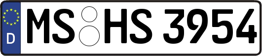 MS-HS3954
