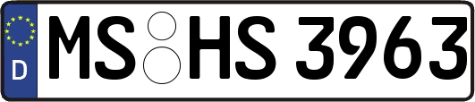 MS-HS3963