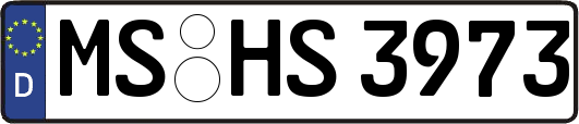 MS-HS3973