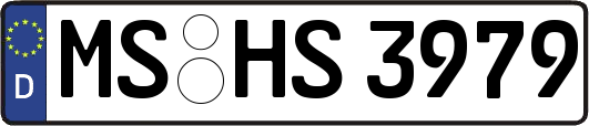 MS-HS3979