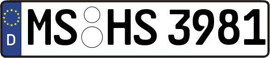 MS-HS3981