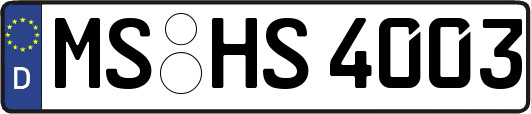 MS-HS4003