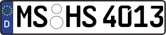 MS-HS4013