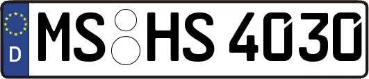 MS-HS4030