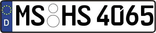 MS-HS4065