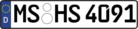 MS-HS4091