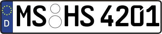 MS-HS4201