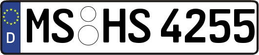 MS-HS4255