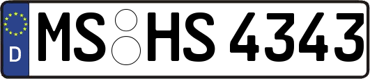 MS-HS4343