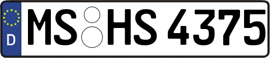 MS-HS4375