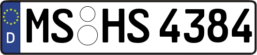 MS-HS4384