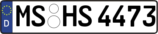 MS-HS4473