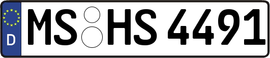 MS-HS4491