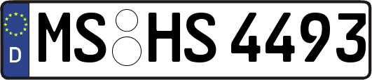 MS-HS4493