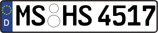 MS-HS4517