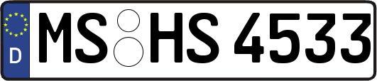 MS-HS4533
