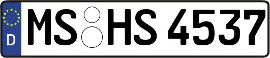 MS-HS4537