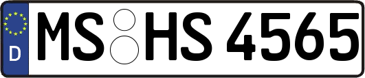 MS-HS4565