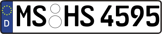 MS-HS4595