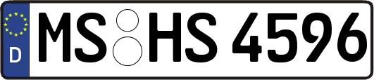 MS-HS4596