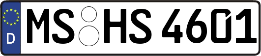 MS-HS4601