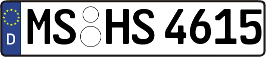 MS-HS4615