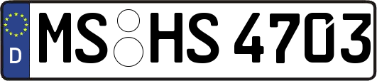 MS-HS4703