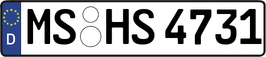 MS-HS4731