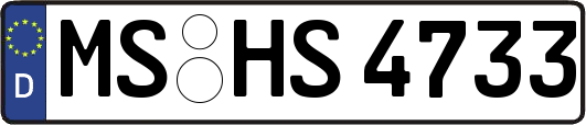 MS-HS4733