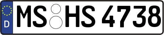 MS-HS4738