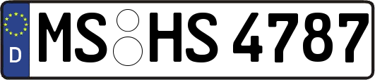 MS-HS4787